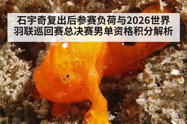 石宇奇复出后参赛负荷与2026世界羽联巡回赛总决赛男单资格积分解析